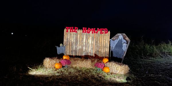 Haunted trail display with pumpkins and coffin