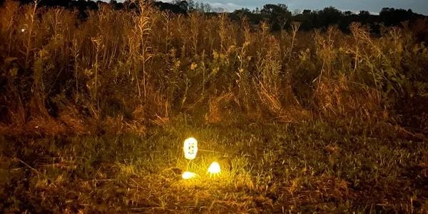 Moonlit haunted trail path